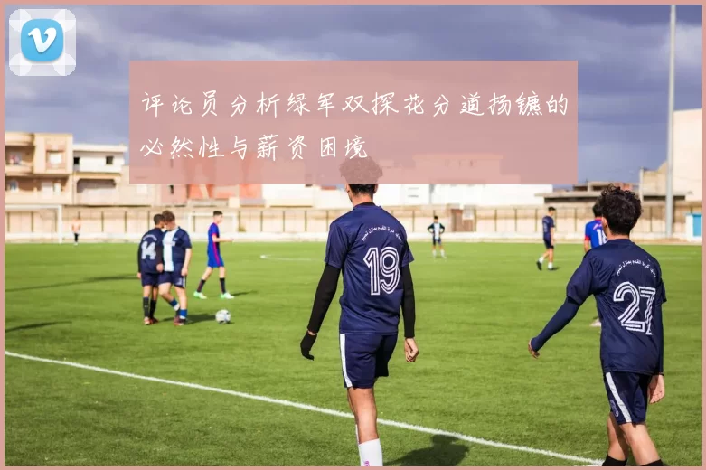 评论员分析绿军双探花分道扬镳的必然性与薪资困境