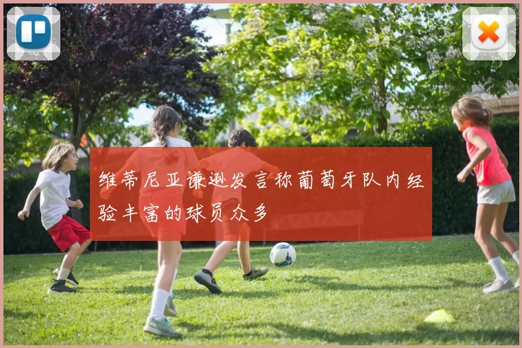 维蒂尼亚谦逊发言称葡萄牙队内经验丰富的球员众多