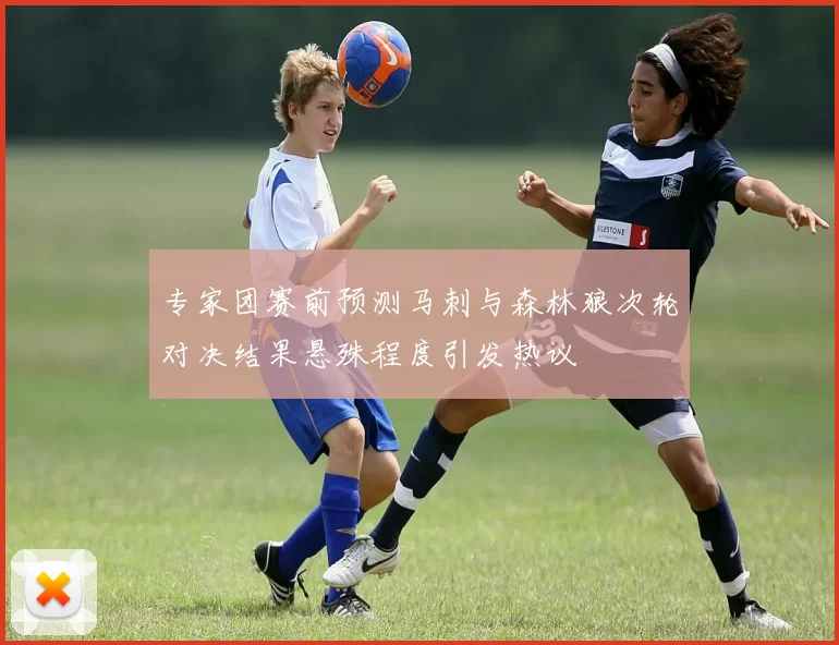 专家团赛前预测马刺与森林狼次轮对决结果悬殊程度引发热议